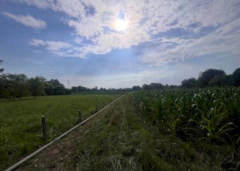 Foto 18 - Agricultural land Via perine, Villorba - photo 18
