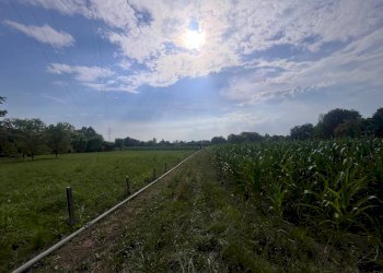 Foto 19 - Agricultural land Via perine, Villorba - photo 19