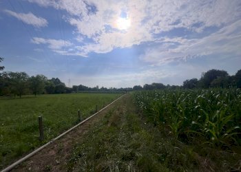 Foto 20 - Agricultural land Via perine, Villorba - photo 20