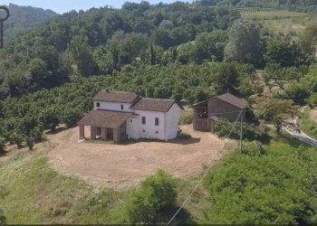 Foto 4 - Rustic REGIONE BASSI
 
108, Cassinasco - photo 4