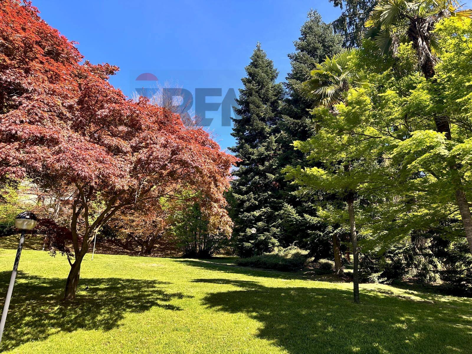 Giardino - Appartamento Via Miogni
12, Varese - foto 2