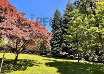 Giardino - Appartamento Via Miogni
 
12, Varese - foto 2