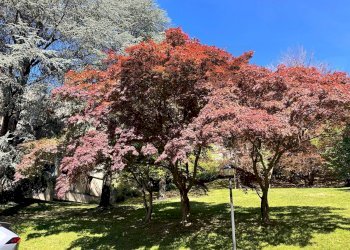 Vista delle montagne - Appartamento Via Miogni
 
12, Varese - foto 5