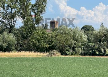 Giardino - Independent house Via Parma
 
12, Montechiarugolo - photo 20