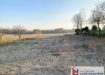 Foto 7 - Terreno edificabile Via Volta, Ispra - foto 7