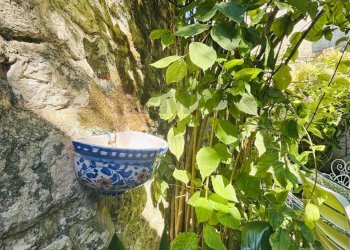 Dettagli - Independent house VIA G. FONTANA
 
7, Erice - photo 75