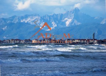 Foto 13 - Trilocale Via Robertino Francardi, Pisa - foto 13