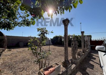 Giardino - Villa via monte sirino
 
162, Aprilia - photo 5