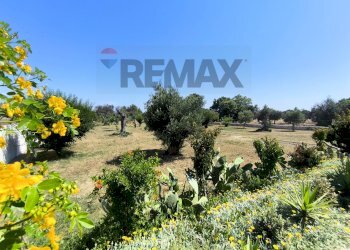 Giardino - Villa Contrada Specchia di Mare
 
snc, San Vito dei Normanni - foto 48