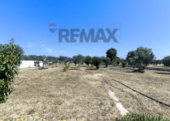 Non correlato - Villa Contrada Specchia di Mare
 
snc, San Vito dei Normanni - foto 49