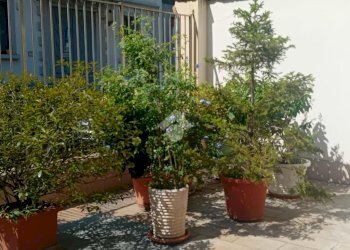 Bilocale Via Sant'Alessandro Sauli, Milano - foto 10