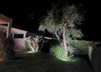 Giardino - Villa Contrada Grottole - Neapolis
 
28/1, Polignano a Mare - photo 31