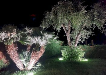 Giardino - Villa Contrada Grottole - Neapolis
 
28/1, Polignano a Mare - photo 32