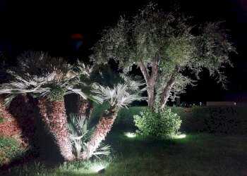 Giardino - Villa Contrada Grottole - Neapolis
 
28/1, Polignano a Mare - photo 38
