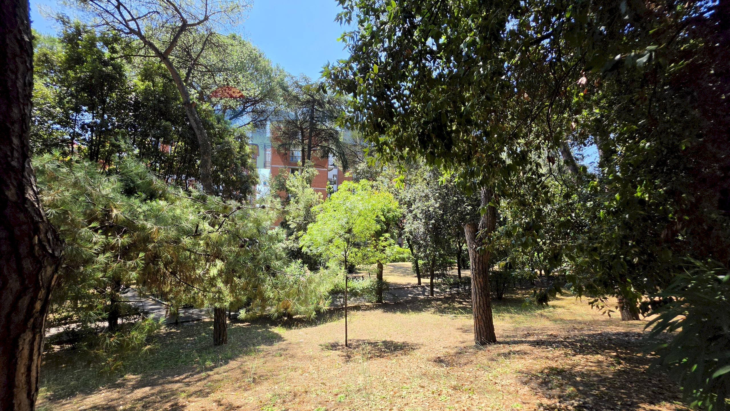 Giardino - Apartment PIAZZETTA ARENELLA
7 h, Napoli - photo 3