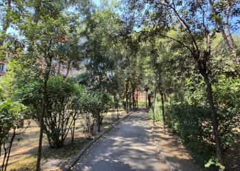 Giardino - Appartamento PIAZZETTA ARENELLA
 
7 h, Napoli - foto 2