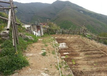 Foto 8 - Villa VIA ESTERNA CHIUNZI
 
18, Corbara - photo 8