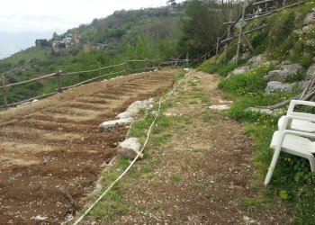 Foto 12 - Villa VIA ESTERNA CHIUNZI
 
18, Corbara - photo 12