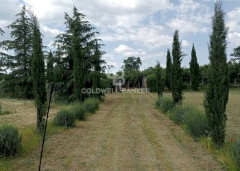 Foto 20 - Villa via dei creti, Sutri - photo 20