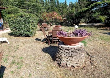 Giardino - Bilocale strada Provinciale Valdona Lacona Marina di Campo, 234, Capoliveri - foto 10