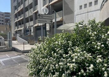 Foto 10 - Box VIA SAVERIO LIOCE
57-61-63, Bari - photo 10