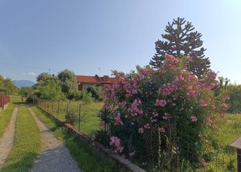 Terreno - Rustico via Luigi Einaudi, 34, San Secondo di Pinerolo - foto 8