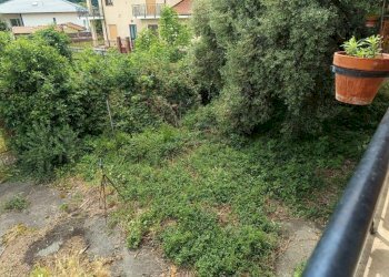 Terreno - Rustico via Luigi Einaudi, 34, San Secondo di Pinerolo - foto 11