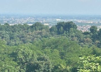 Vista - Appartamento via Combabona, 36, Villarbasse - foto 28