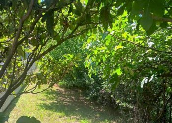 Giardino - Villa via Cortiglione, Vinchio - photo 7