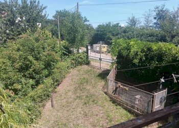 Terreno - Villa via Cortiglione, Vinchio - photo 14