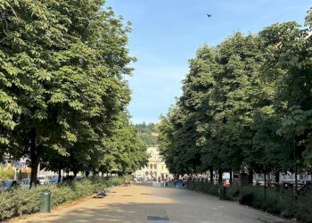 dettagli - Appartamento via Ormea, 34, Torino (zona San Salvario) - foto 17