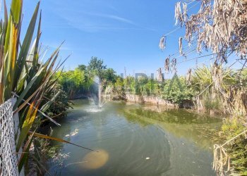 Terreno - Villa via Sotto Rigossa, Gambettola - photo 26