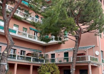 IMG20230306144637 - Four-room apartment Via all'Asilo Davide e Delfina Garbarino 2, Genova (neighborhood San Teodoro) - photo 2