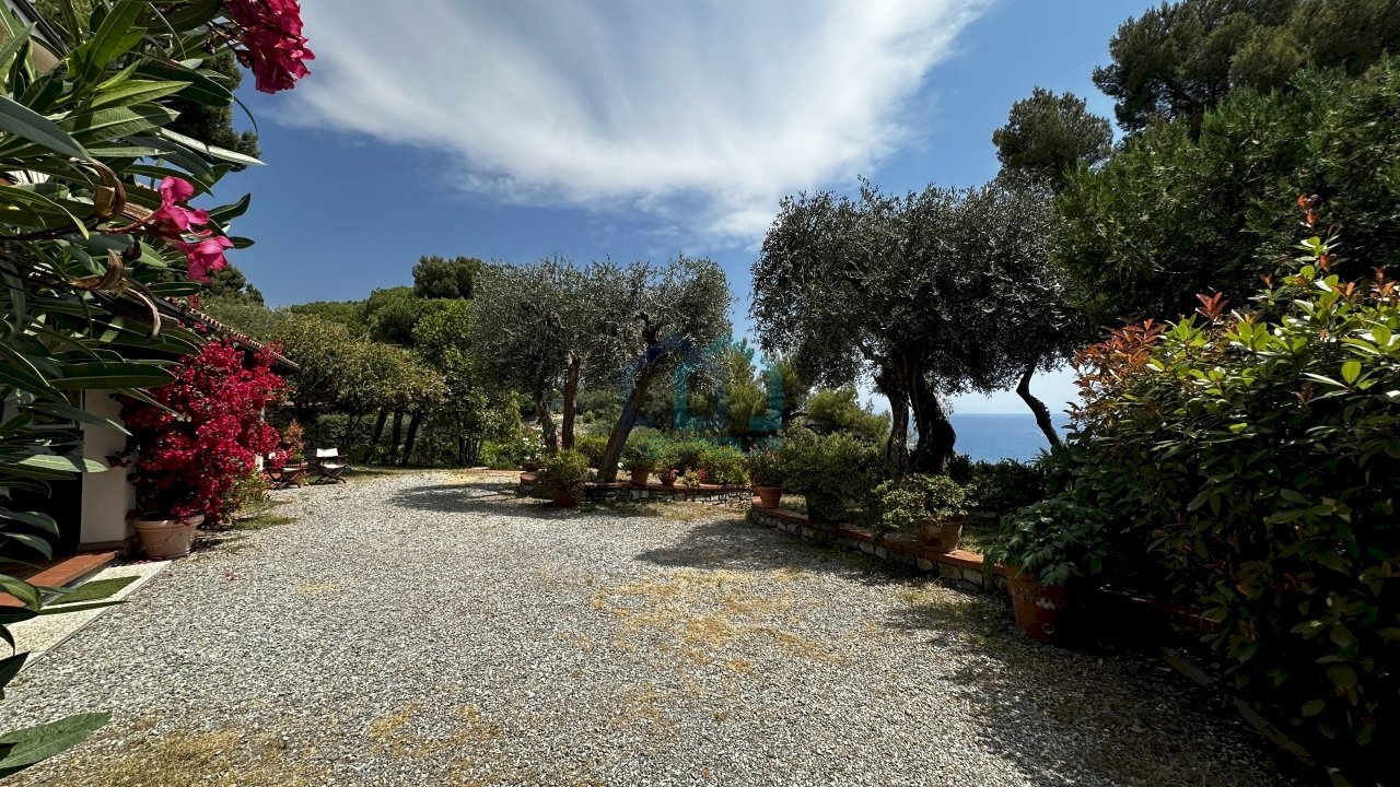 giardino - Villa Viale Vittorio Veneto 31, Imperia - photo 2