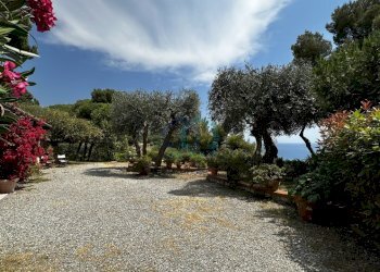 giardino - Villa Viale Vittorio Veneto 35, Imperia - photo 2