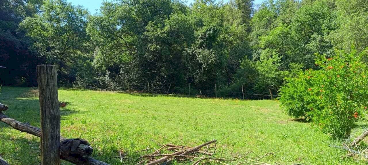 WhatsApp Image 2026-06-04 at 11.09.15 (1) - Terreno agricolo Via Rimembranze 45, Amelia - foto 1