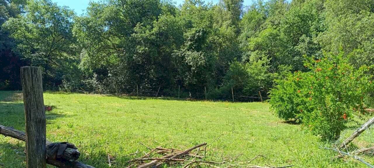 WhatsApp Image 2026-06-04 at 11.09.15 - Terreno agricolo Via Rimembranze 45, Amelia - foto 2