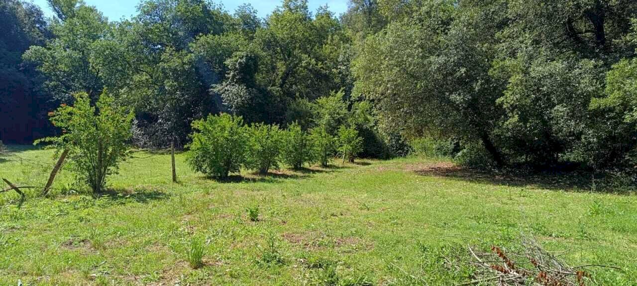WhatsApp Image 2026-06-04 at 11.09.16 (1) - Terreno agricolo Via Rimembranze 45, Amelia - foto 3