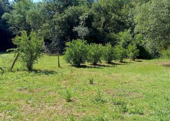 WhatsApp Image 2026-06-04 at 11.09.16 - Terreno agricolo Via Rimembranze 45, Amelia - foto 4
