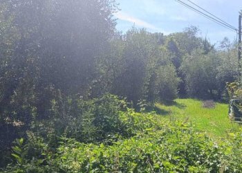 WhatsApp Image 2026-06-04 at 11.09.18 (1) - Terreno agricolo Via Rimembranze 45, Amelia - foto 9