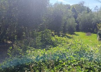 WhatsApp Image 2026-06-04 at 11.09.18 (2) - Terreno agricolo Via Rimembranze 45, Amelia - foto 10
