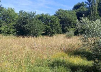 WhatsApp Image 2026-06-04 at 11.09.19 (2) - Terreno agricolo Via Rimembranze 45, Amelia - foto 15