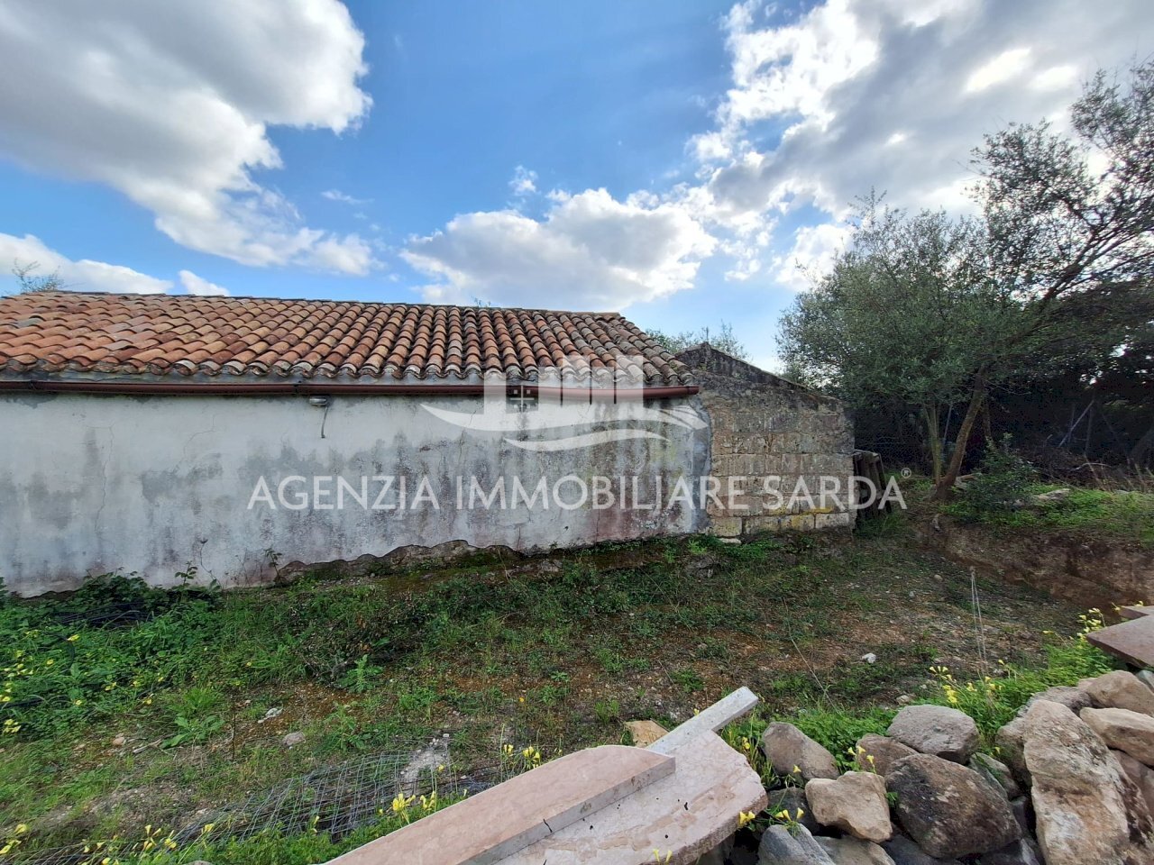 WhatsApp Image 2026-03-25 at 16.19.48 (2) - Terreno agricolo Alghero - foto 1