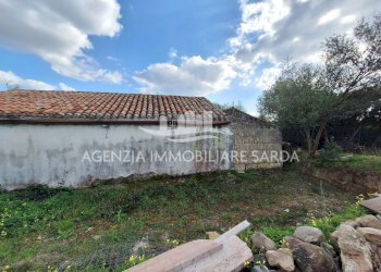 WhatsApp Image 2026-03-25 at 16.19.48 (2) - Terreno agricolo Alghero - foto 1