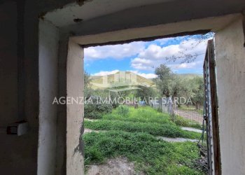 WhatsApp Image 2026-03-25 at 16.19.39 - Terreno agricolo Alghero - foto 5