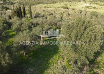 DJI_0697 - Terreno agricolo Alghero - foto 9