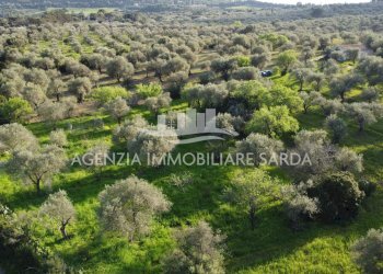 DJI_0705 - Terreno agricolo Alghero - foto 10