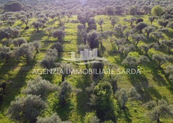 DJI_0707 - Terreno agricolo Alghero - foto 11