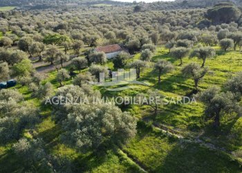DJI_0710 - Terreno agricolo Alghero - foto 12