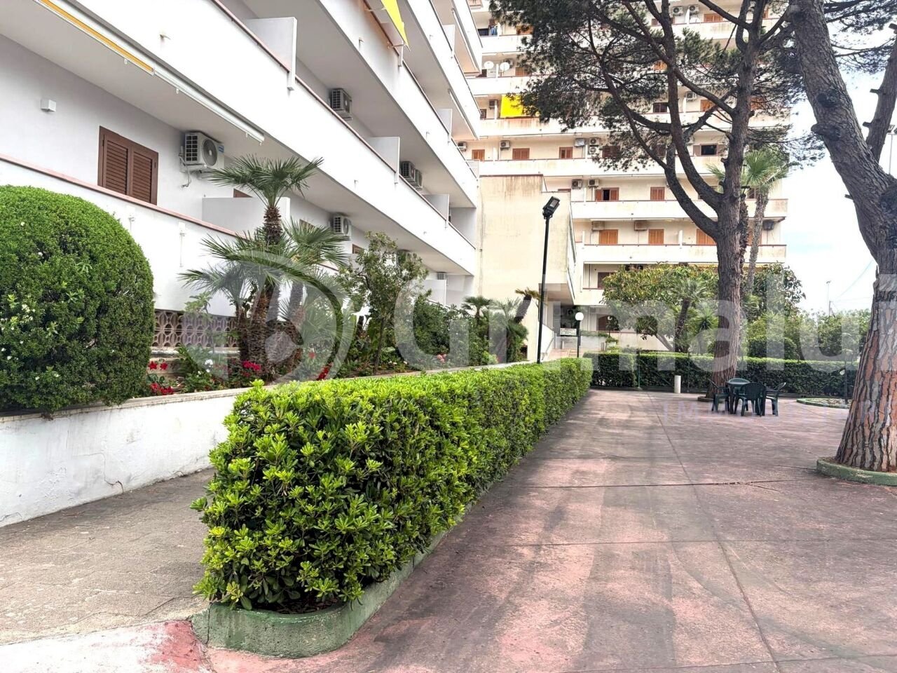 WhatsApp Image 2026-06-16 at 17.14.57 (10)_risulta - Trilocale Viale Orsa Maggiore, Gallipoli - foto 1